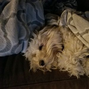 Meet your Posher, Evan